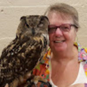 Meet your Posher, Robin